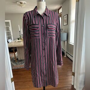 Equipment 100% Silk Shirt Dress